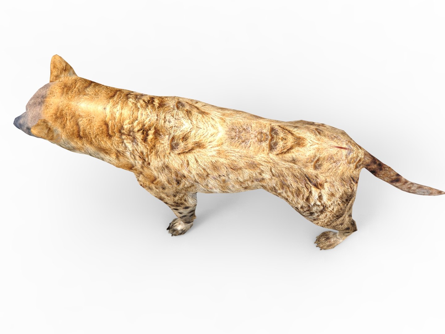 hyena rigged 3D model https://p.turbosquid.com/ts-thumb/M5/LqVRb1/0dDxe2gR/untitled.24/jpg/1505458219/1920x1080/fit_q87/188667c2ed9e2773282d3cd457030a9f63e5aabf/untitled.24.jpg