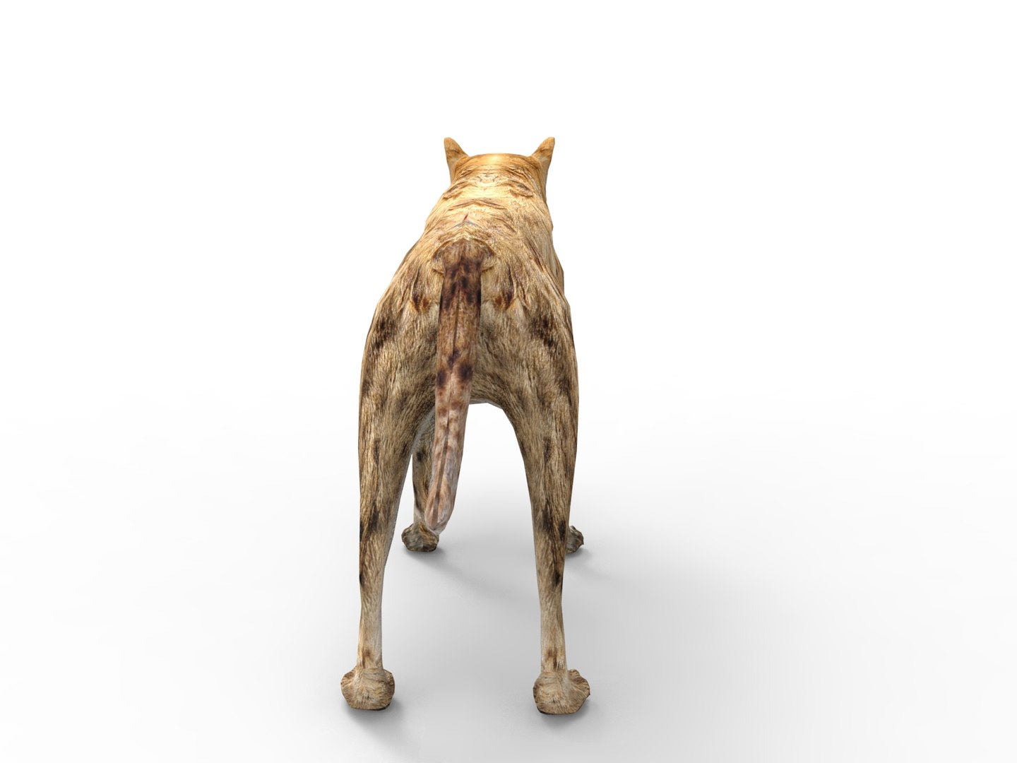 hyena rigged 3D model https://p.turbosquid.com/ts-thumb/M5/LqVRb1/WlY2hiwQ/untitled.26/jpg/1505458219/1920x1080/fit_q87/422eca06229e303e48a32be1b58799e81f1e0b8a/untitled.26.jpg