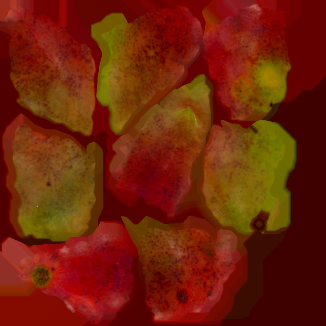 Mango 3D https://p.turbosquid.com/ts-thumb/M5/Y0kmns/ne/mango2_0/png/1623304142/1920x1080/fit_q87/7053a1073c4f9eb1774f583c308660d179404940/mango2_0.jpg