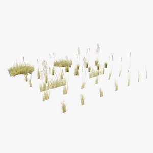 3D model Low Poly Bent Grass Dry Pack