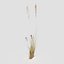 3D model Low Poly Bent Grass Dry Pack