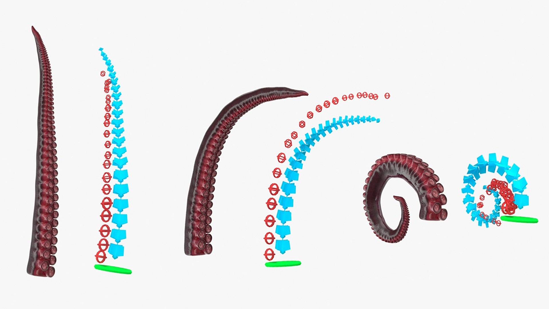 3D Octopus Tentacle Animated https://p.turbosquid.com/ts-thumb/M5/gYq0jc/6v/9shqsxqxqbezevjj_octopus_tentacle_rigged_0010/jpg/1775499160/1920x1080/fit_q87/bbccf6dba0eb47179dcae5c6f35fc423f6e3e904/9shqsxqxqbezevjj_octopus_tentacle_rigged_0010.jpg