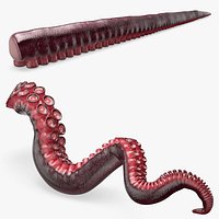 Octopus Tentacle Animated