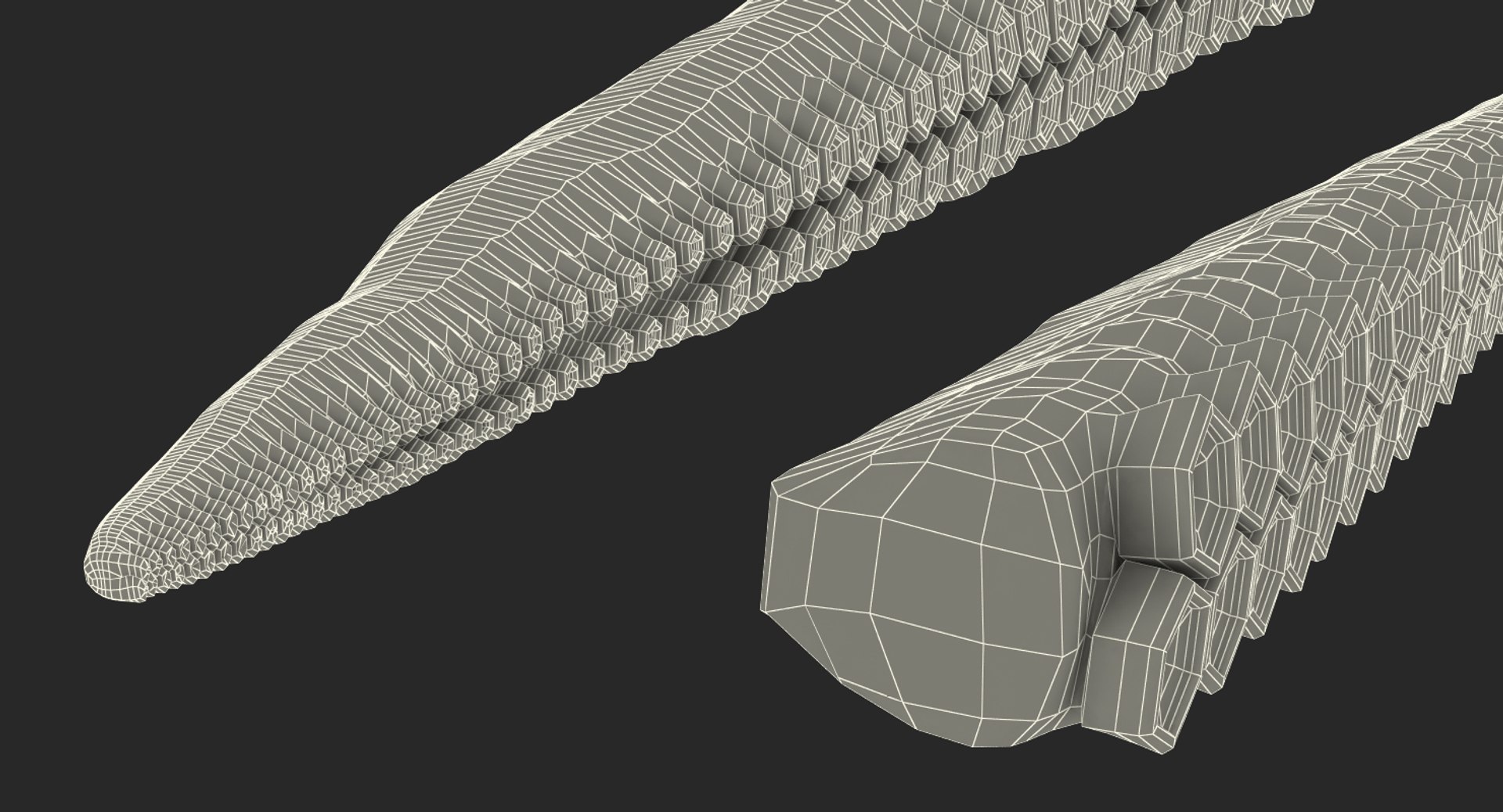3D Octopus Tentacle Animated https://p.turbosquid.com/ts-thumb/M5/gYq0jc/IE/octopus_tentacle_rigged_0018/jpg/1775227850/1920x1080/fit_q87/6ba2d4fd90727b0521a731f7c6b21ee6c8a9d726/octopus_tentacle_rigged_0018.jpg