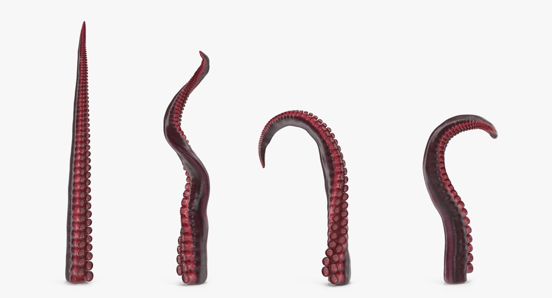 3D Octopus Tentacle Animated https://p.turbosquid.com/ts-thumb/M5/gYq0jc/Vw/octopus_tentacle_rigged_0002/jpg/1775227799/1920x1080/fit_q87/6efef273c30c7cd6da87f1d11dc29f03046250ed/octopus_tentacle_rigged_0002.jpg