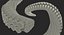 Octopus Tentacle Animated