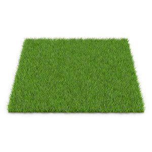 Grass Model