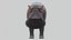 Hippopotamos  OBJ model