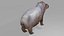 Hippopotamos  OBJ model
