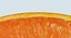 Tangerine Slice