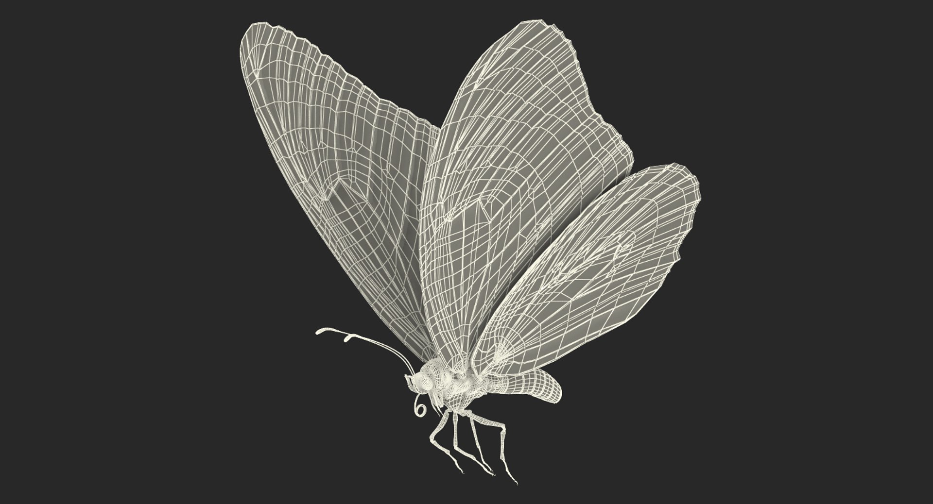 monarch butterfly cocoon flying 3D model https://p.turbosquid.com/ts-thumb/M5/r8bPRG/10RgNw5H/monarchbutterflywithcocooncollectionmb3dmodel014/jpg/1577705039/1920x1080/fit_q87/38b46c7a35536c2d22eb0316e0cf80cf38981818/monarchbutterflywithcocooncollectionmb3dmodel014.jpg