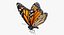 monarch butterfly cocoon flying 3D model