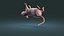 Rat Hairless