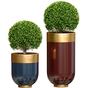 Boxwood Buxus evergreen shrub tree in modern Luxury flower pots vases Godwin Longhi ARTDECO Indoor