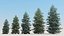 snowy fir trees 3d model