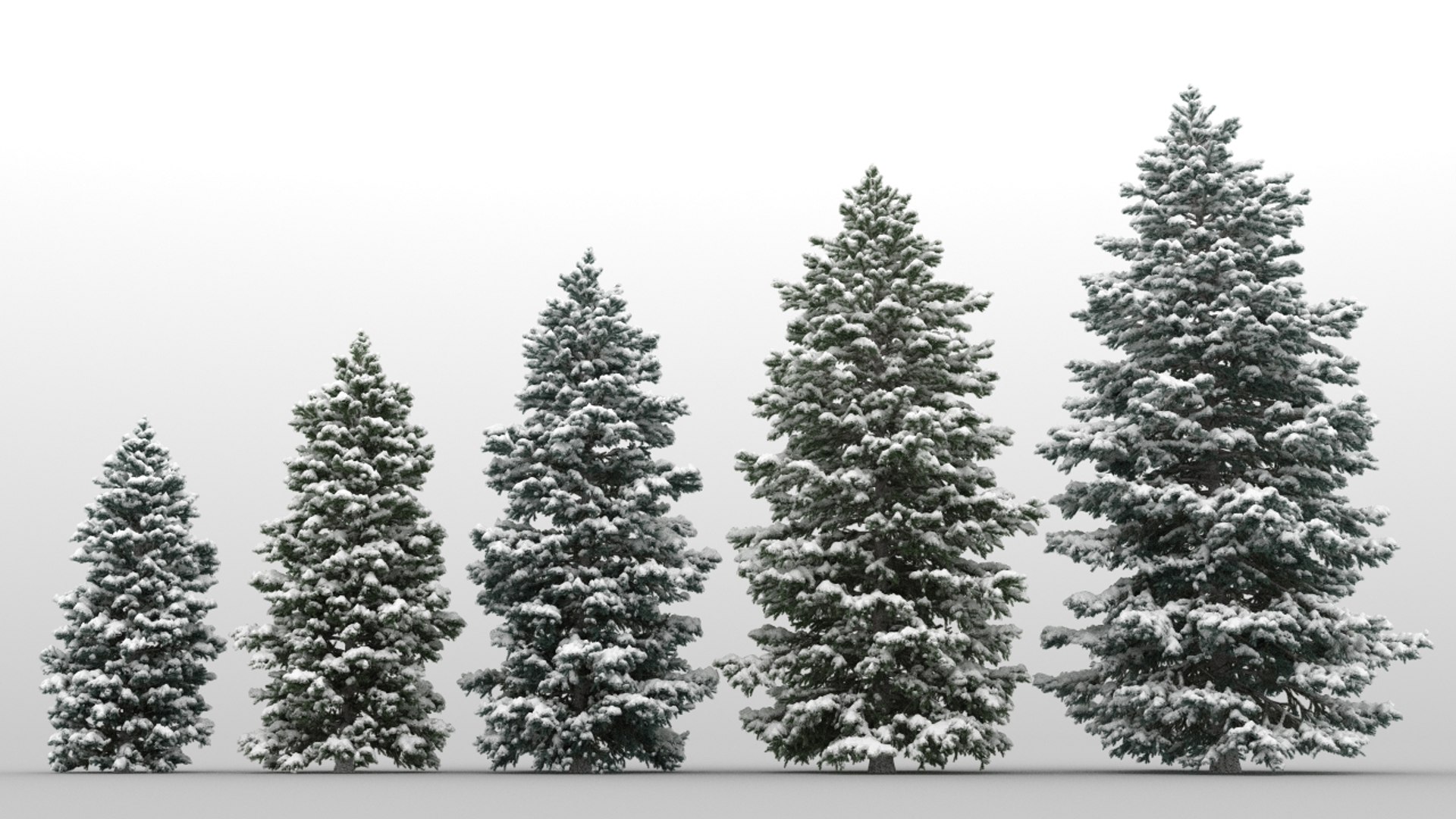 Snowy Fir Trees 3d Model