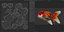 Lionhead Goldfish