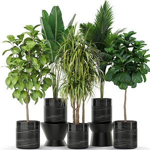 3D plants 379
