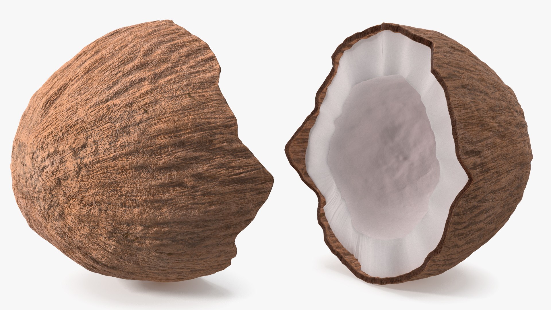 Coconut Half model https://p.turbosquid.com/ts-thumb/M6/B470fU/AM/coconut_half_006/jpg/1745016844/1920x1080/fit_q87/f3665a0f9fc31a65a4650e0cee52d04da01ee821/coconut_half_006.jpg