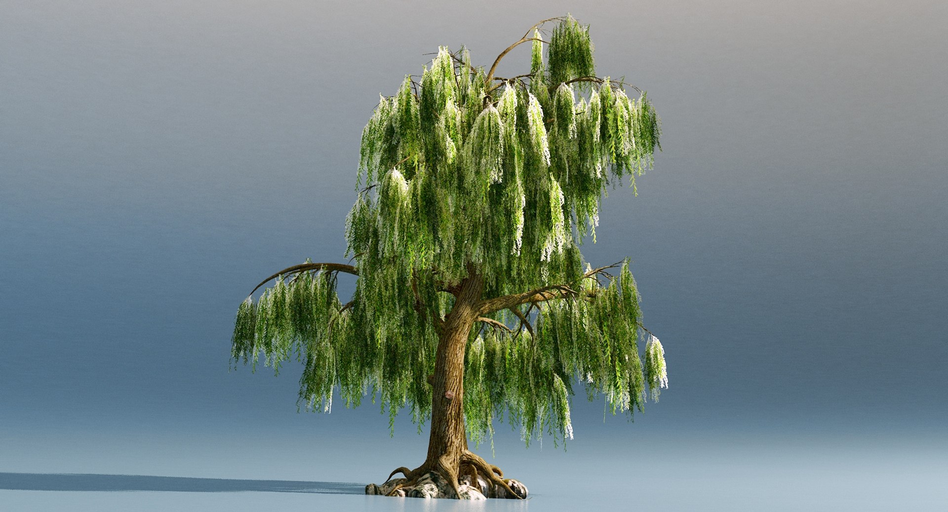 3D model weeping willow https://p.turbosquid.com/ts-thumb/M6/CrFu2R/DmZsqguQ/1/jpg/1529564759/1920x1080/fit_q87/fc01d2bf887e5e3fd81f147ede6949f80ecedfcc/1.jpg