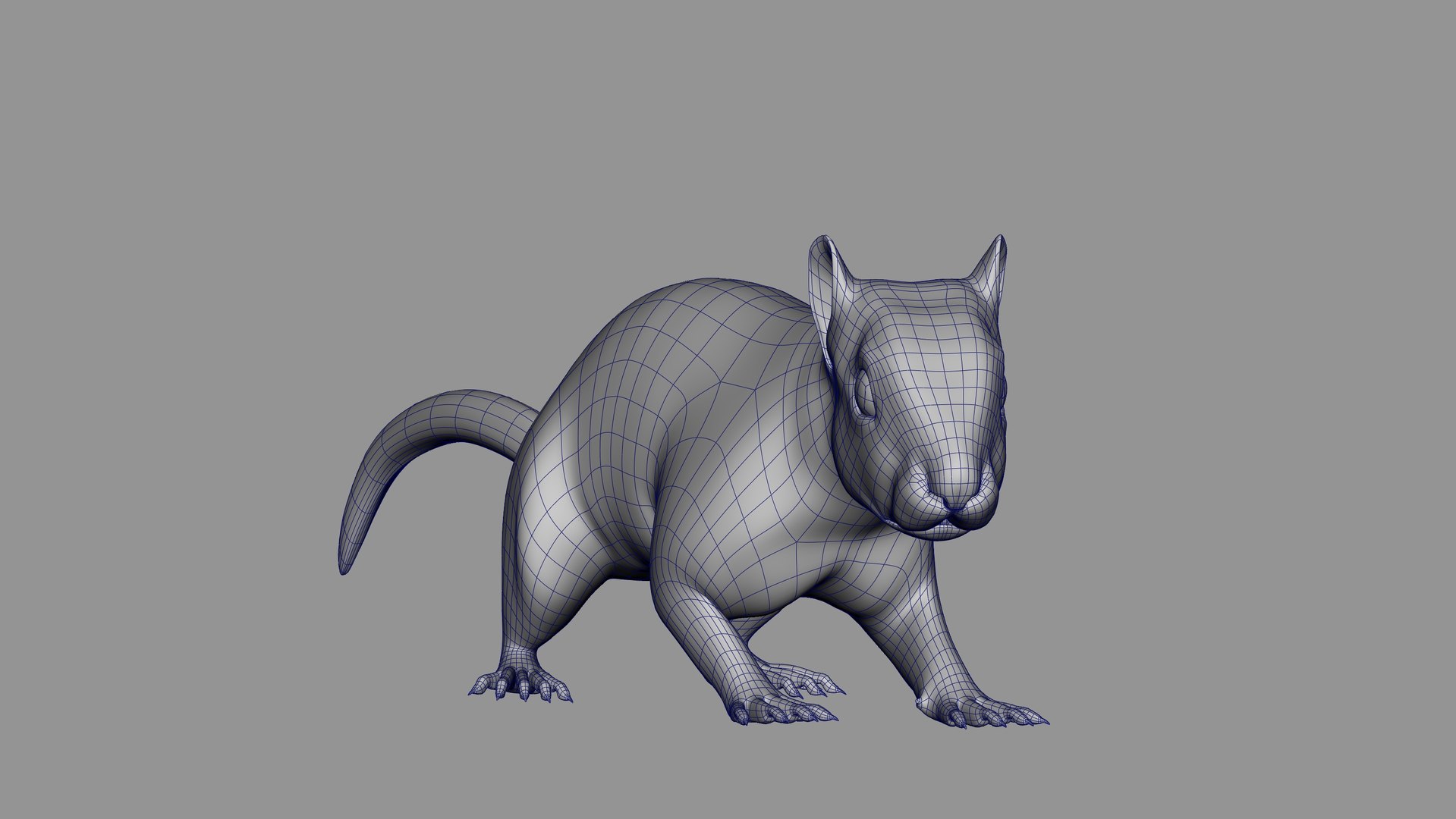 3D Squirrel  ANIMATED  XGEN-CORE model https://p.turbosquid.com/ts-thumb/M6/GyBuS9/9i/wire03/jpg/1695112621/1920x1080/fit_q87/6e1de005e1e78ace3834796634d0b9bb6bf3d36d/wire03.jpg