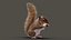 Squirrel  ANIMATED  XGEN-CORE