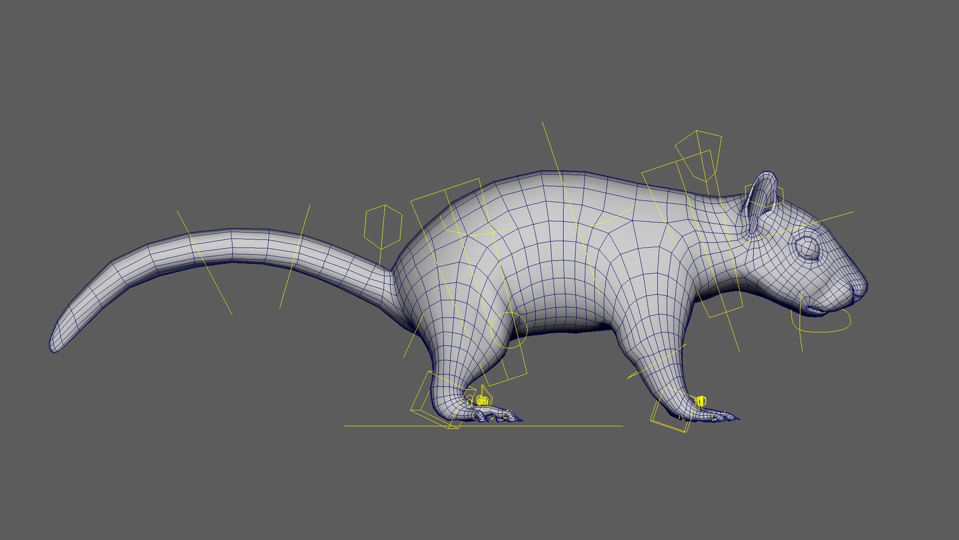 3D Squirrel  ANIMATED  XGEN-CORE model https://p.turbosquid.com/ts-thumb/M6/GyBuS9/r0/rig/jpg/1695170268/1920x1080/fit_q87/bec771545098aef20e8abf9b3aa0f98072e68ff9/rig.jpg