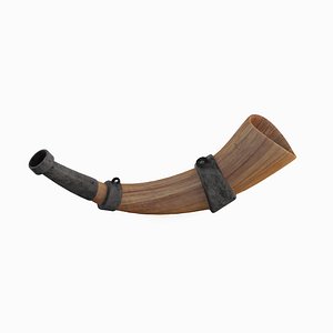 Viking Horn 01 3D