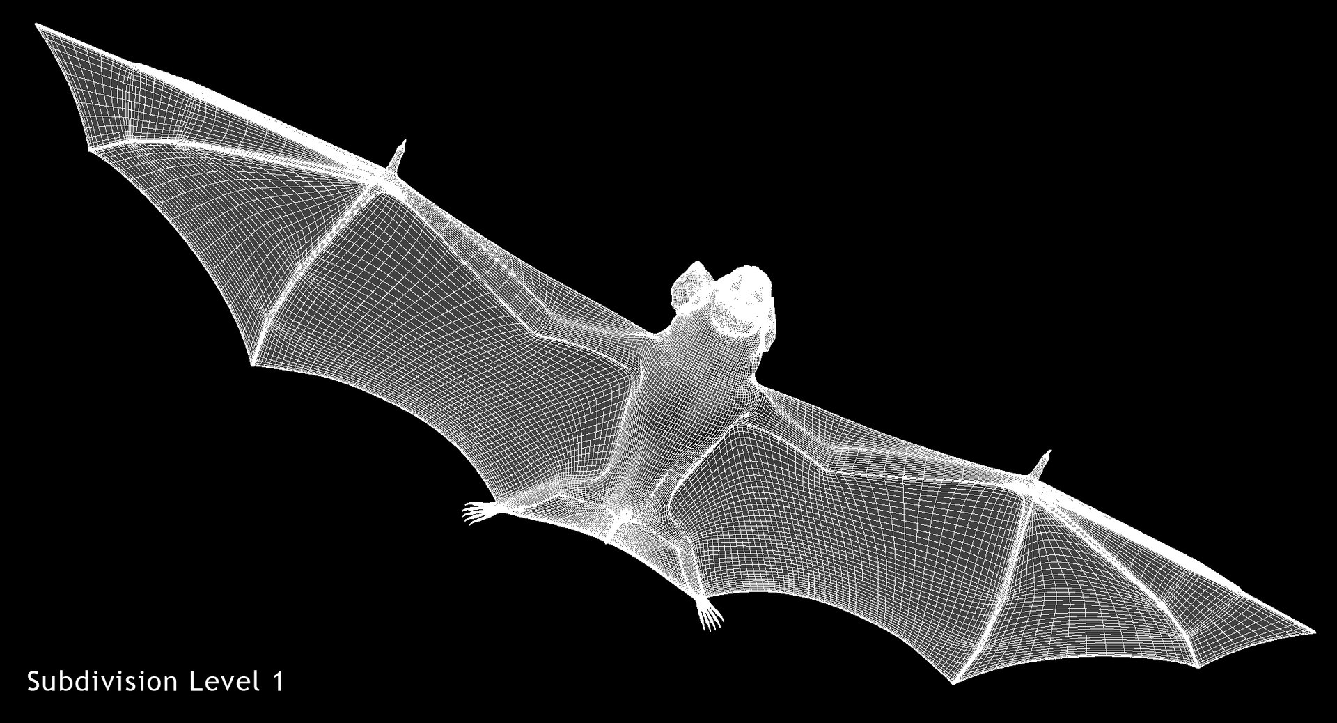 vampire bat animation obj https://p.turbosquid.com/ts-thumb/M6/JyeYwB/NfSgsf0I/w4/jpg/1488869087/1920x1080/fit_q87/545cd9f04831c016c4695c9d8068dd5ac6297b65/w4.jpg
