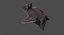 Vampire Bat (Animated)