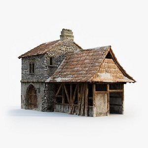 Medieval House