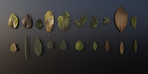 pack 20 leaves 3D model