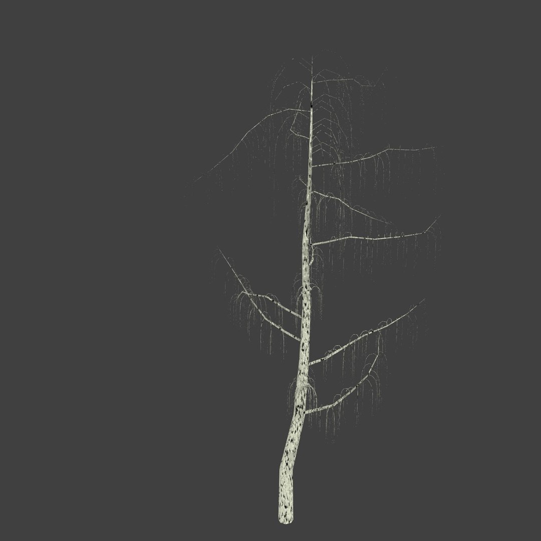 birch 3d obj https://p.turbosquid.com/ts-thumb/M6/b4URJV/1dg4EI6B/2/jpg/1363526995/1920x1080/fit_q87/83f21fe09338a22c38b77e9886b4260c96ed3481/2.jpg