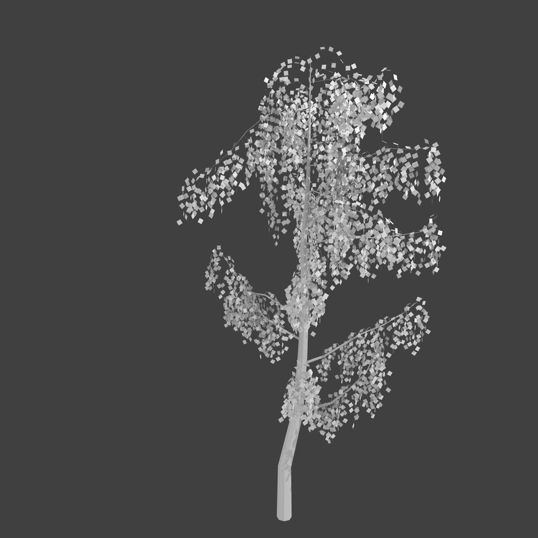 birch 3d obj https://p.turbosquid.com/ts-thumb/M6/b4URJV/vL0ICdwO/3/jpg/1363526995/1920x1080/fit_q87/00d9ee837f5c31c72db75e6ef8ab8a76606f4384/3.jpg