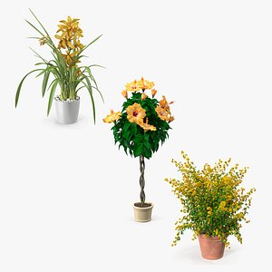 3D Flower Pots Collection 4