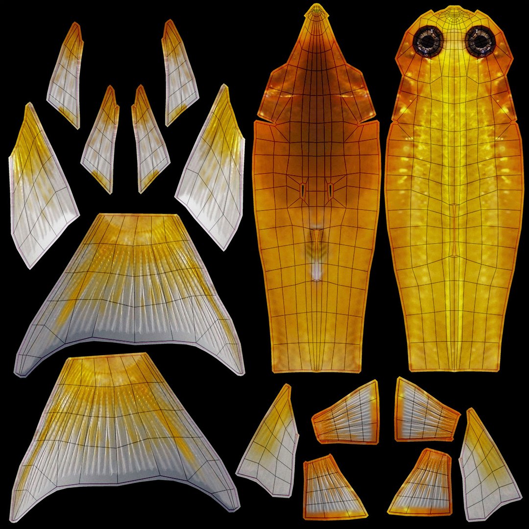 3D realistic male gold molly https://p.turbosquid.com/ts-thumb/M6/r1Z6FL/KepWYHsq/ryukingoldfish_rr37/jpg/1521094763/1920x1080/fit_q87/dc767d9eb134c102513a0de4d670994c8b8e16cf/ryukingoldfish_rr37.jpg