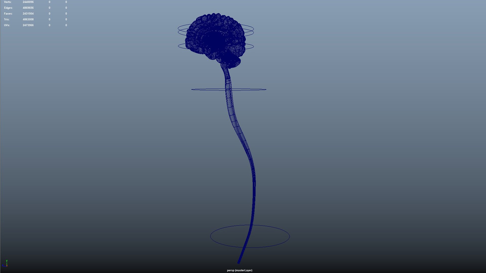 3D Human Brain Cross Section Model - TurboSquid 2190102