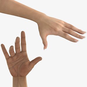 Male and Female Hands Rigged Collection for Cinema 4D 3D model