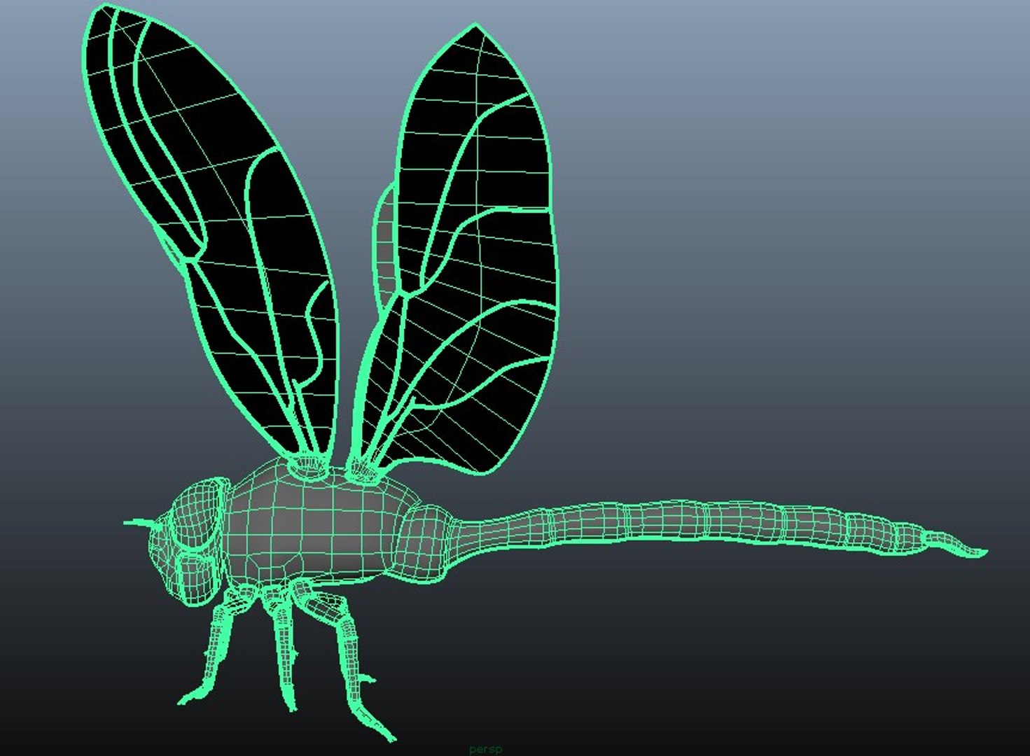 Dragonfly Rigging Ma