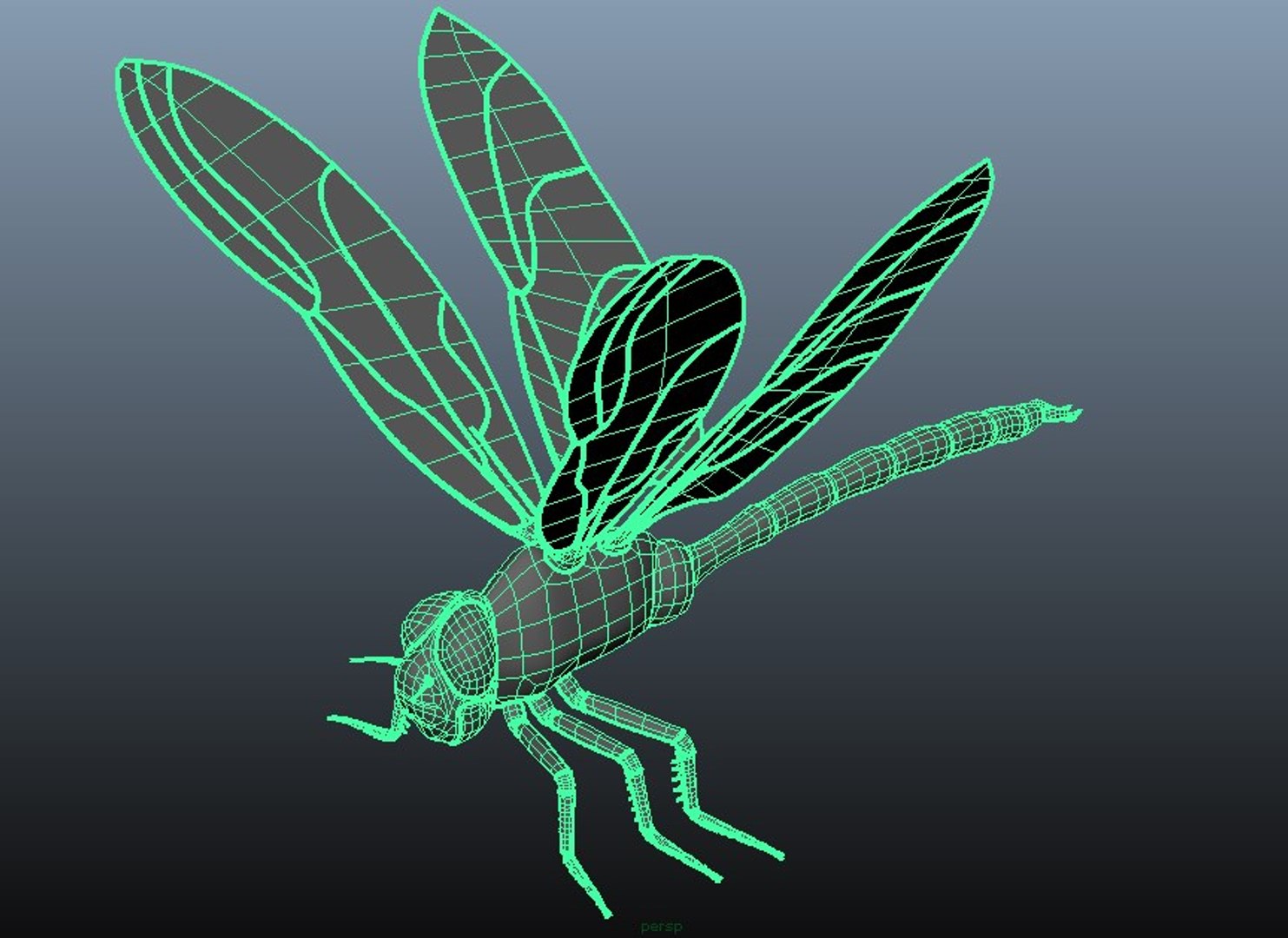 Dragonfly Rigging Ma