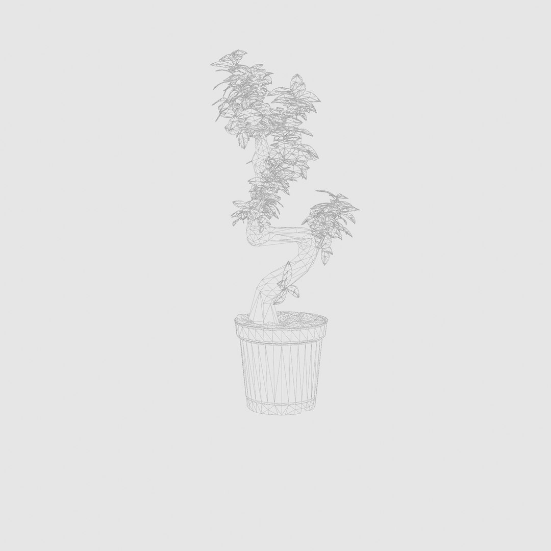 3D Collection of 4 Chinese Banyan Trees https://p.turbosquid.com/ts-thumb/M7/6KRePp/DH/preview_5/jpg/1720432808/1920x1080/fit_q87/15a2af59e32d9802ad9811dcfb58877d54838783/preview_5.jpg