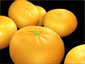 Orange with Water drops (Clementine)