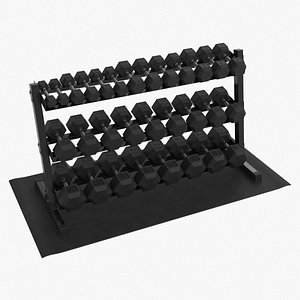 GYM Dumbbell Storage Rack