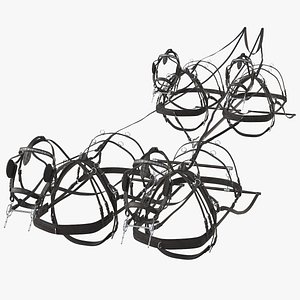 Team of Four Leather Harness