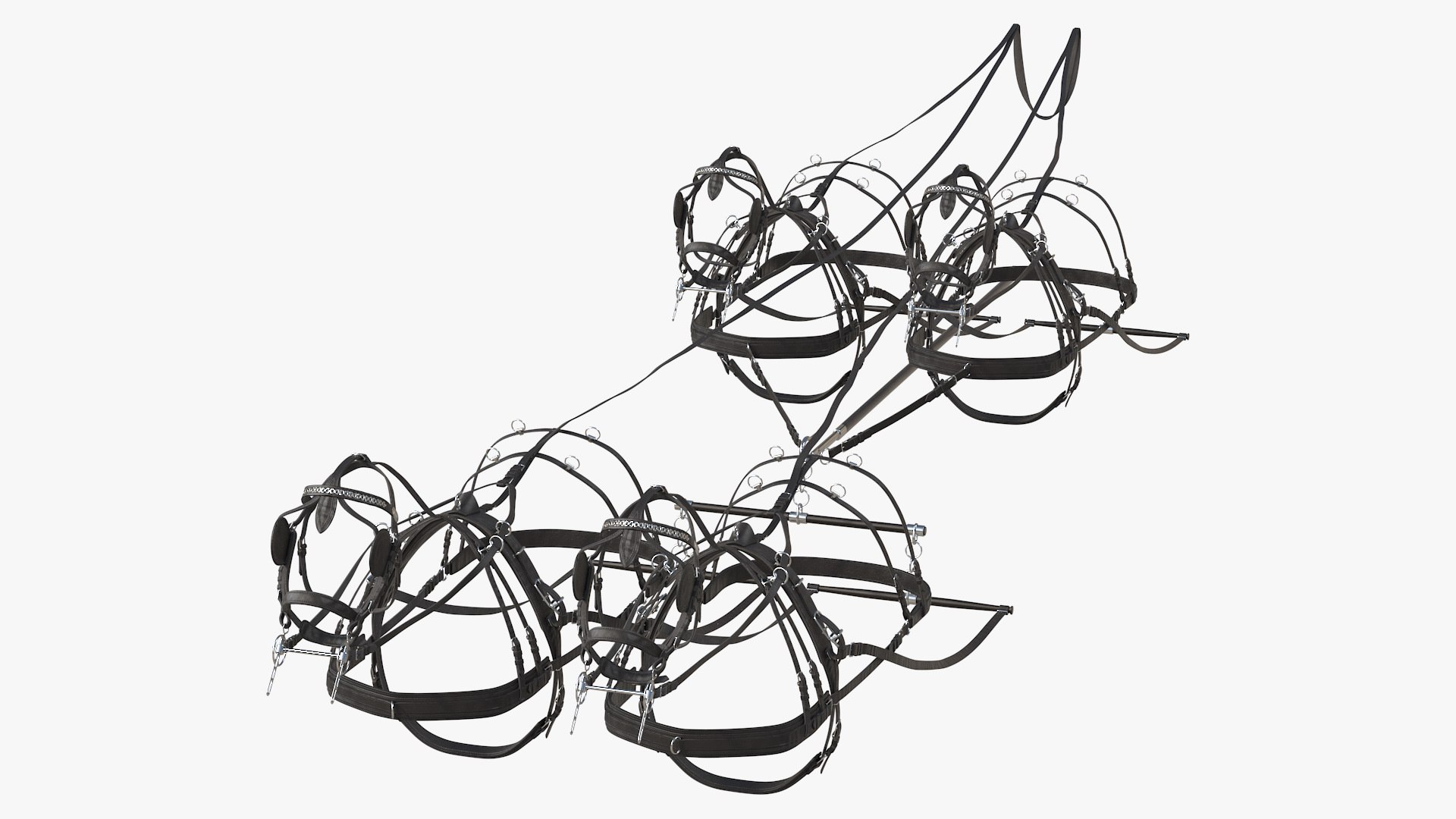Team of Four Leather Harness 3D model preview