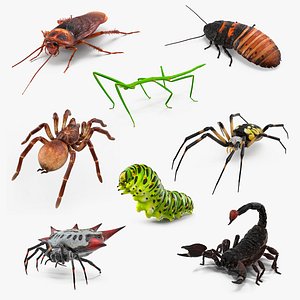 Rigged Creeping Insects Collection 2