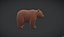 Bear Character