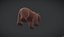 Bear Character