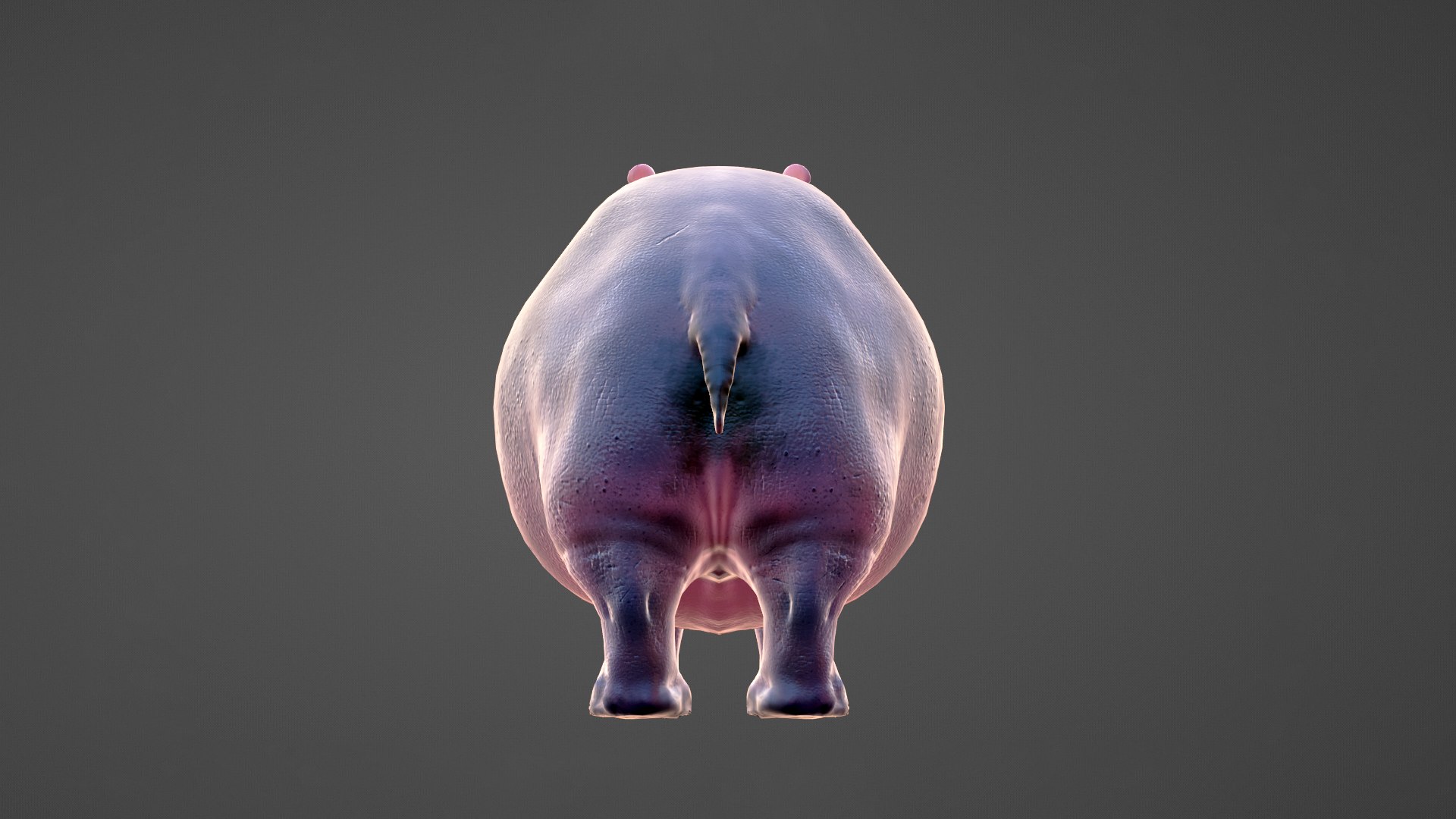3D Hippo - Rigged Low-poly 3D Model - TurboSquid 2070321