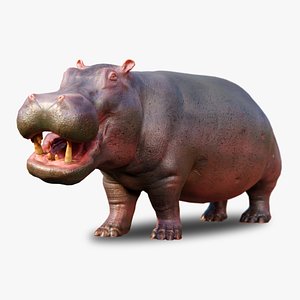 3D Hippo - Rigged Low-poly 3D model
